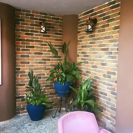 Mendos Garden Exclusive 3* 费特希耶