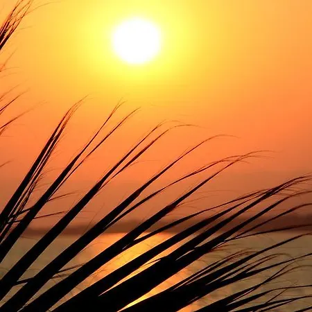 Hotel Mendos Garden Exclusive Fethiye