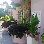 Ξενοδοχείο Mendos Garden Exclusive